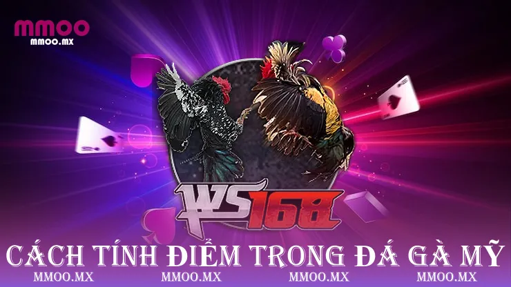 Cách tính điểm trong đá gà mỹ