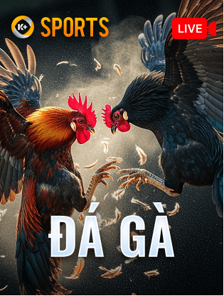 ĐÁ GÀ