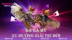Đá Gà Mỹ