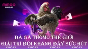 Đá Gà Thomo