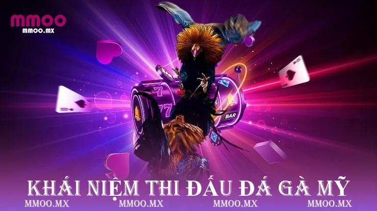 Khái niệm thi đấu đá gà mỹ